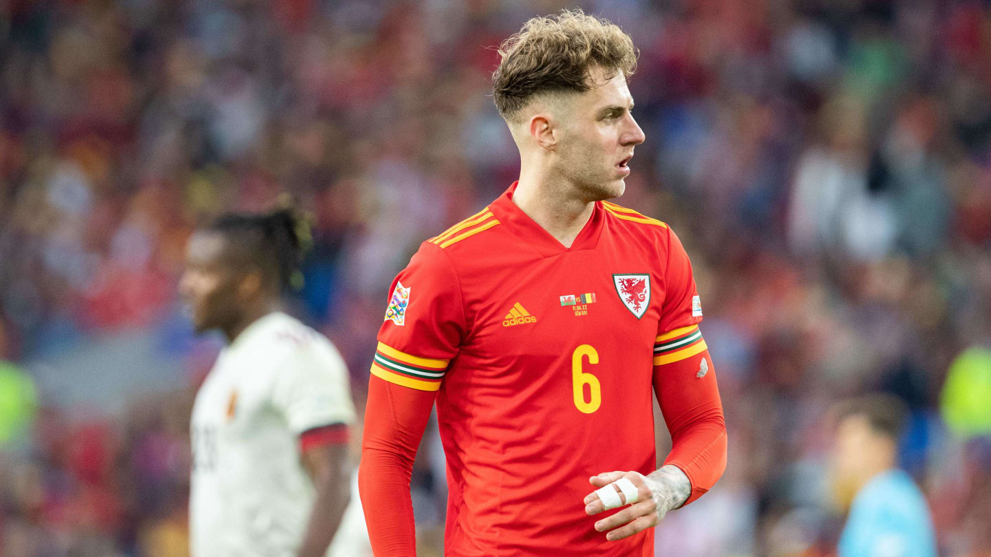 Joe Rodon, Stade Rennais