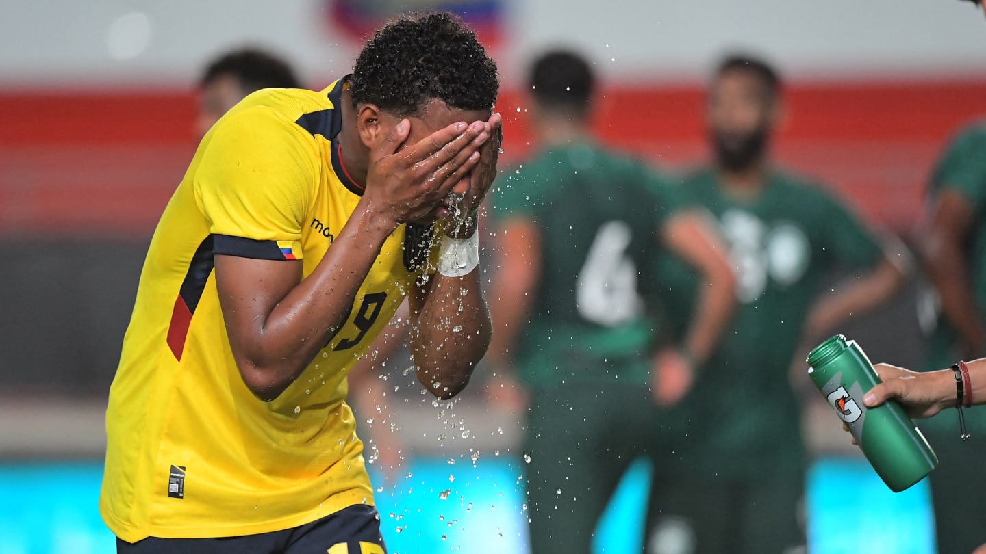 Coupe du Monde, Coupe du Monde 2022