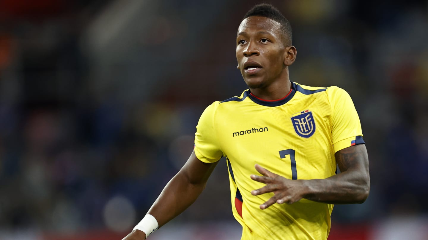 Qatar - Equateur : sur quelle chaîne voir le match, les news sur les équipes.