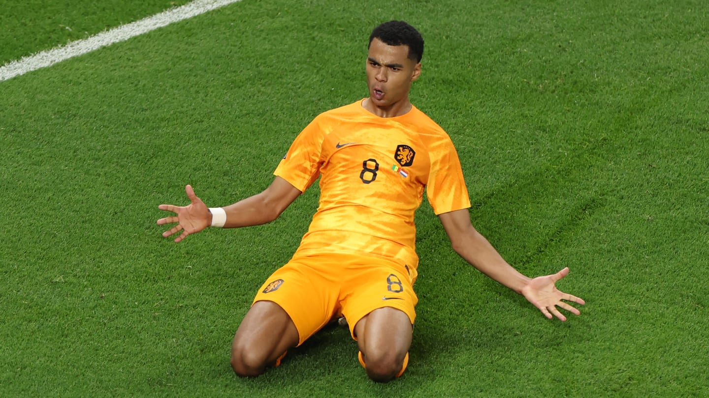 Pays-Bas - Equateur : Les compos probables, les news sur les équipes.