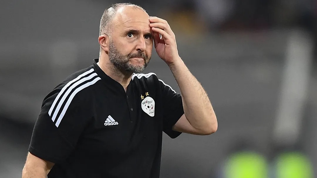 image0-350-jpeg Djamel Belmadi, le sélectionneur de l'Algérie, annonce qu'il supportera le Maroc et la Tunisie pou r le Mondial 2022
