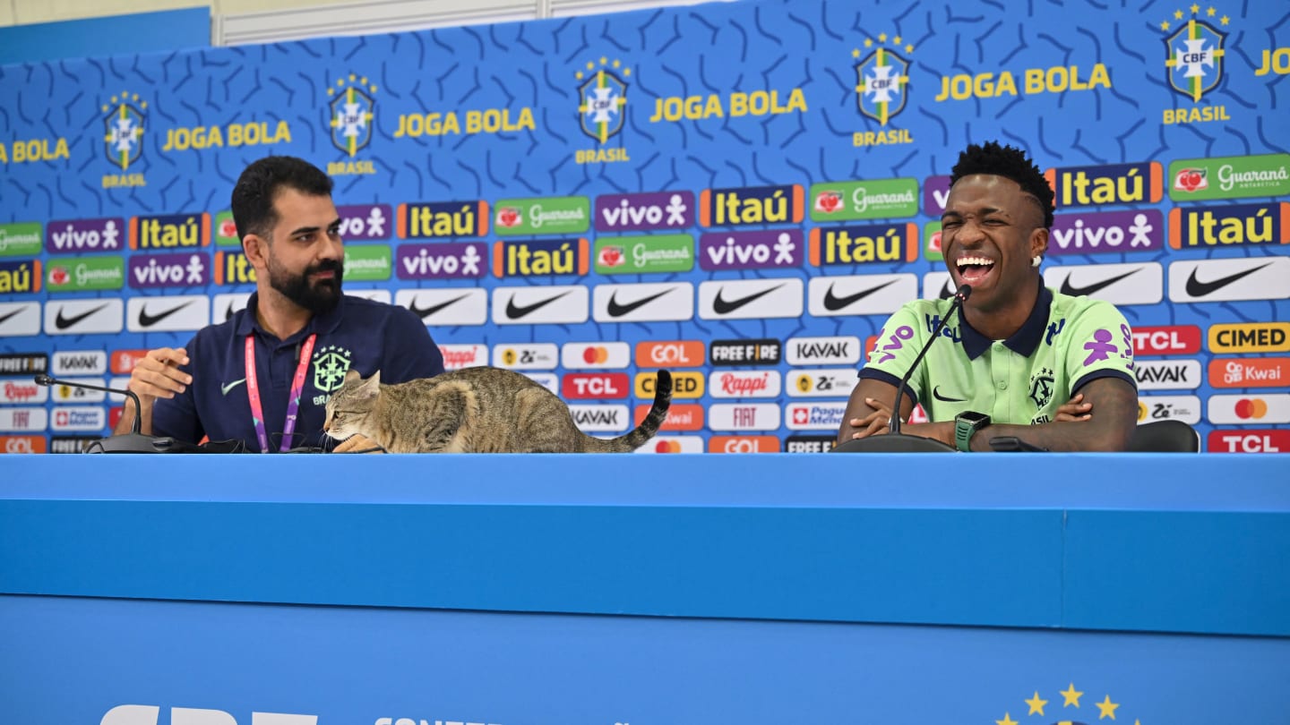 VIDÉO : Quand un chat s'incruste à la conférence de presse du Brésil