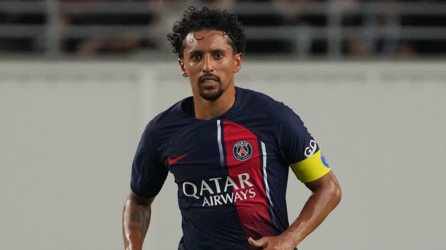 Infos mercato