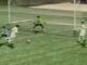 Boulleau, Canal +, Laure Boulleau