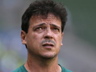 bresil,Fernando Diniz,Seleçao