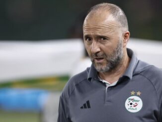 Djamel Belmadi, Equipe d'Algérie