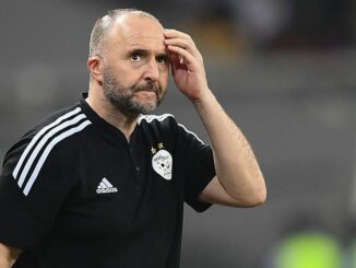 Djamel Belmadi, Equipe d'Algérie