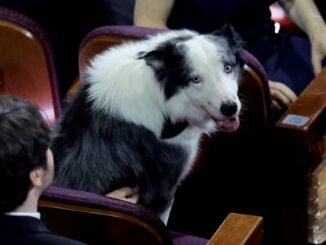 cérémonie des Oscars, messi