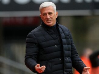 Afrique du Sud , Algérie, Match amical, Vladimir Petkovic