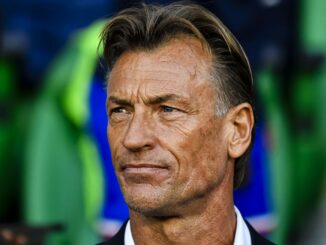 Equipe de France Feminine, Hervé Renard