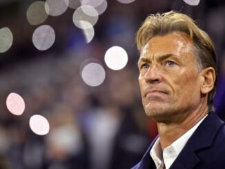 hervé renard depart,hervé renard equipe de france