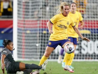 Amandine Henry libre