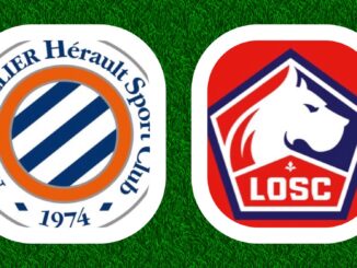Ligue 1 McDonalds 13e journée