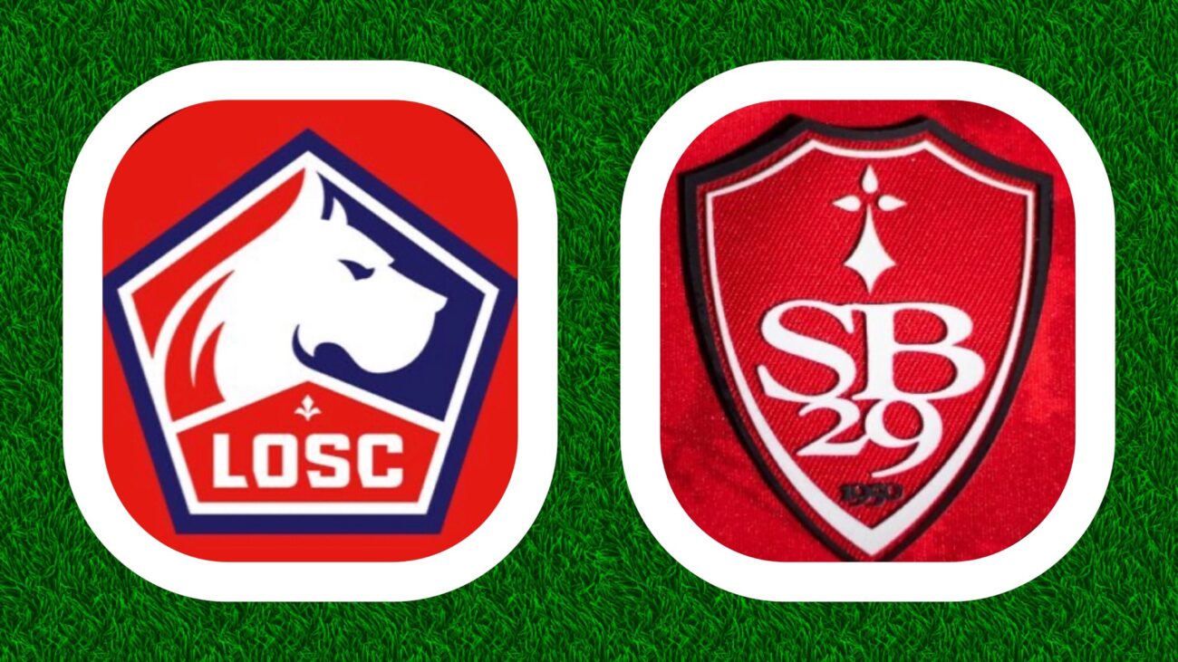 Ligue 1 McDonalds 14e journée