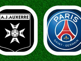 Ligue 1 McDonalds 14e journée