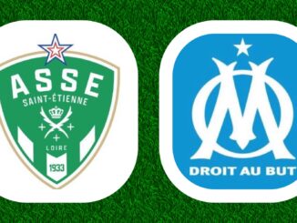 Ligue 1 McDonalds 14e journée