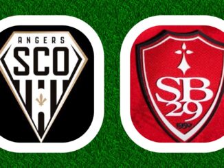 Ligue 1 McDonalds 16e journée