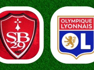 Ligue 1 McDonalds 17e journée
