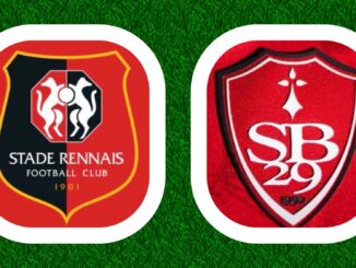 Ligue 1 McDonalds 18e journée