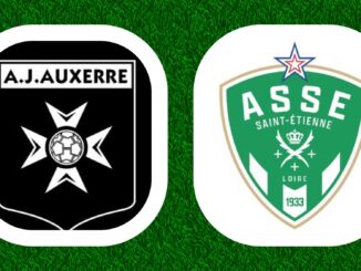 Ligue 1 McDonalds 19e journée