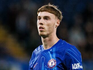 Joueur de football en maillot bleu sur le terrain.