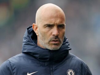 Homme en veste Chelsea regarde sérieusement.