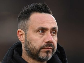 om,om mercato x